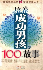 培养成功男孩的100个故事