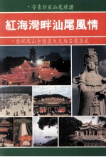 红海湾畔汕尾风情 粤东新星汕尾礼赞 庆祝凤山全国最大天后石像落成