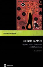 BIOFUELS IN AFRICA OPPORTUNITIES，PROSPECTS，AND CHALLENGES