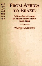 FROM AFRICA TO BRAZIL CULTURE，IDENTITY，AND AN ATLANTIC SLAVE TRADE，1600-1830