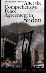 AFTER THE COMPREHENSIVE PEAVE AGREEMENT IN SUDAN