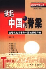 挺起中国的脊梁 全球化的冲击和中国的战略产业