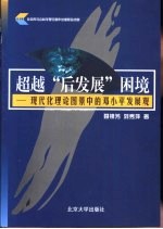 超越“后发展”困境 现代化理论图景中的邓小平发展观