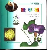 科学画谱 牵牛花