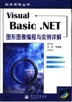 Visual Basic.NET图形图像编程与实例详解