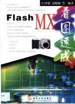 Flash MX看图速成