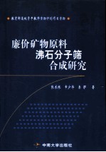 廉价矿物原料沸石分子筛合成研究