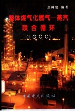 整体煤气化燃气－蒸汽联合循环 IGCC