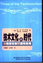 技术文化的时代  从信息社会到虚拟生活