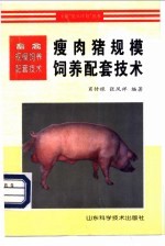 瘦肉猪规模饲养配套技术