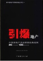 引爆地产 中国房地产活动营销经典战例30个经典范例100幕精彩回放