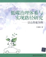 低碳治理体系与实现路径研究 以山东省为例