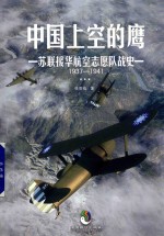 中国上空的鹰 苏联援华航空志愿队战史1937-1941