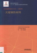 中国战略性新兴产业·新材料·关键钢铁材料