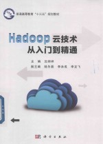 Hadoop云技术从入门到精通