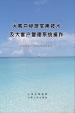 大客户经理实用技术及大客户管理系统操作