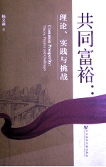 共同富裕 理论、实践与挑战