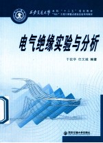 电气绝缘实验与分析