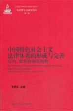 中国特色社会主义法律体系的形成与完善  结构、原则和制度阐释