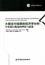 大额支付结算的经济学分析 中央银行视角的理论与政策