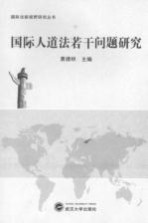 国际人道法若干问题研究