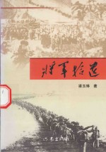 当代作家文库  将军拾遗