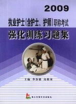 2009执业护士 含护士、护师 职称考试强化训练习题集