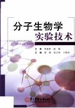 分子生物学实验技术