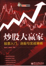 新股民钱袋书 炒股大赢家 股票入门、选股与实战策略