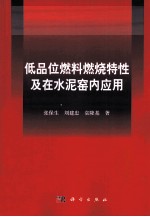 低品位燃料燃烧特性及在水泥窑内应用