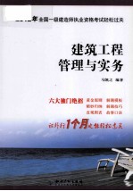 全国一级建造师执业资格考试轻松过关  建筑工程管理与实务