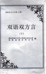 双语双方言书系 乙种 第十届双语双方言研讨会 国际 论文选集