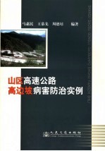 山区高速公路高边坡病害防治实例