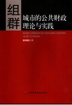 组群城市的公共财政理论与实践