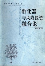 孵化器与风险投资融合论