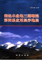 柴达木盆地三湖坳陷第四系应用层序地层