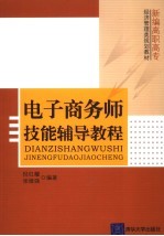 电子商务师技能辅导教程