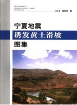 宁夏地震诱发黄土滑坡图集