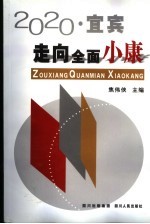 走向全面小康 2020·宜宾