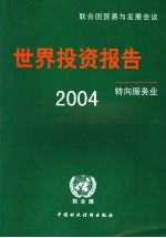 2004年世界投资报告