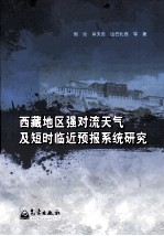 西藏地区强对流天气及短时临近预报系统研究