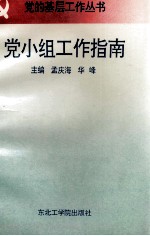 党小组工作指南