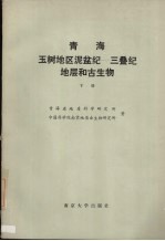 青海玉树地区泥盆纪-三叠纪地层和古生物 下