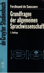 Grundfragen der allgemeinen Sprachwissenschaft