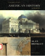 AMERICAN HISTORY A SURVEY VOLUME 1:TO 1877