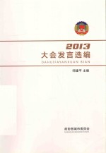 大会发言选编 2013年