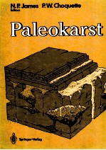 Paleokarst