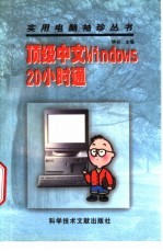 顶级中文Windows 20小时通