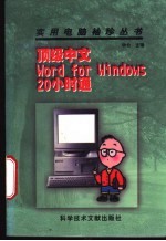 顶级中文Word for Windows20小时通