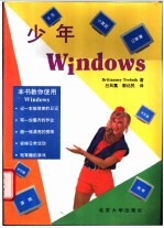 少年Windows